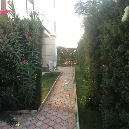 Bouzid *